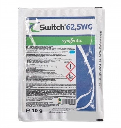 Switch 10g